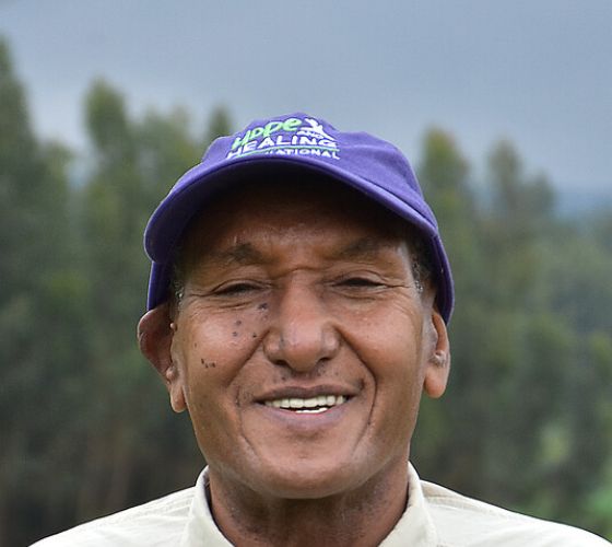board_tigabu