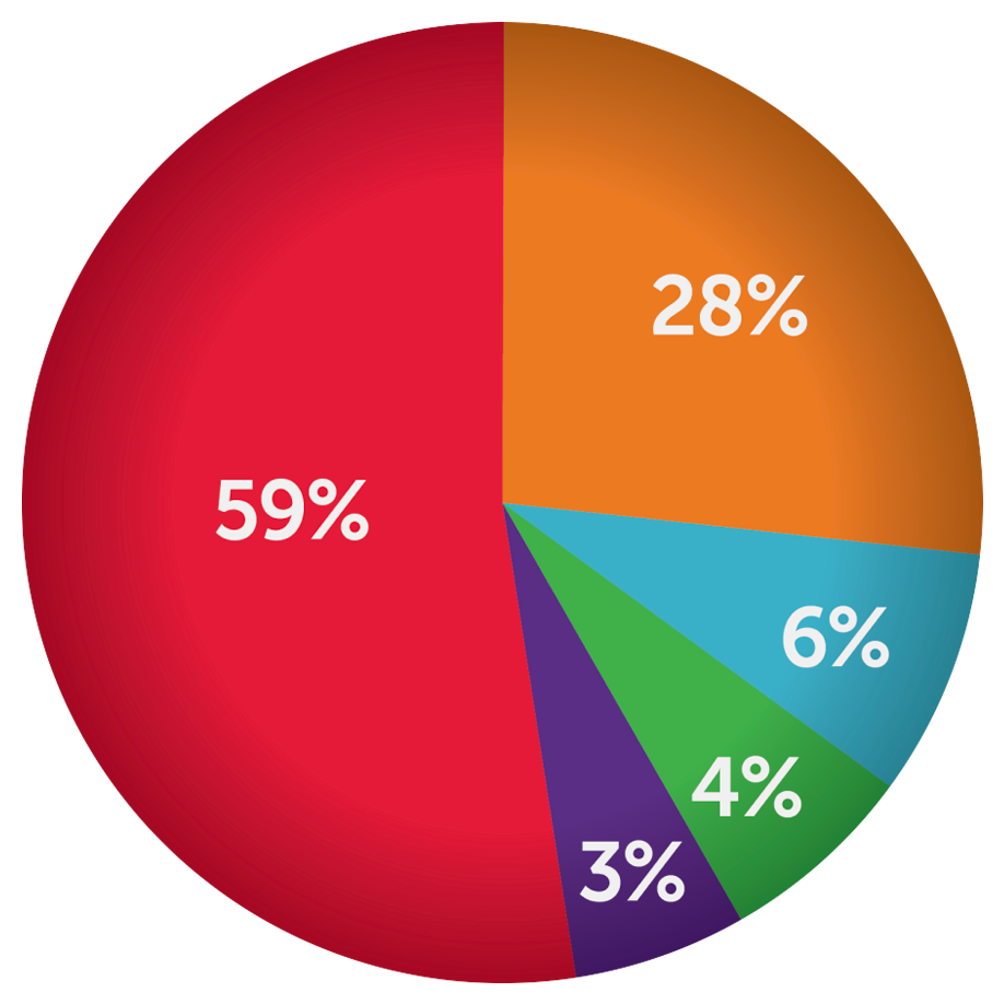 img-pie-programs