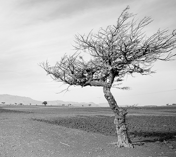 Landing-Drought-Dried-Land