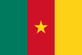 2. What is Cameroon's national flag?