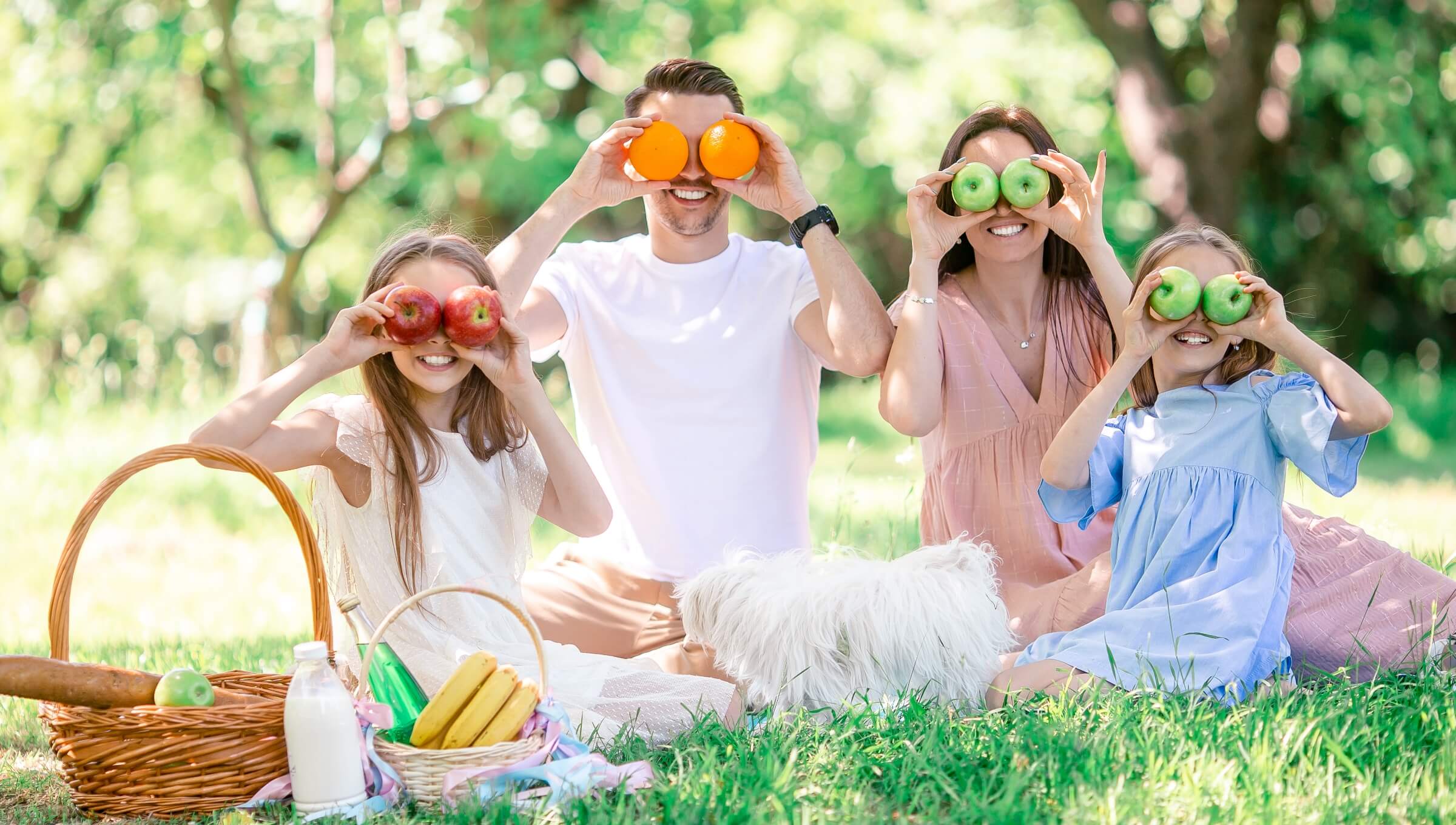 Plan a picnic