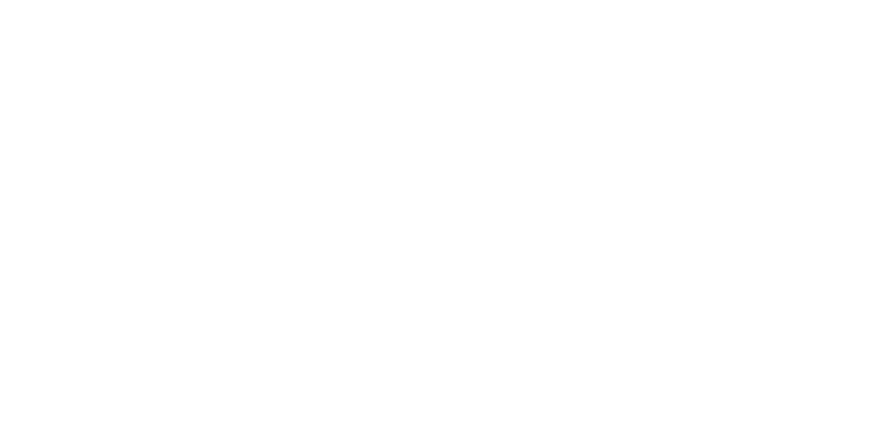 Alpa Marketing International Logo