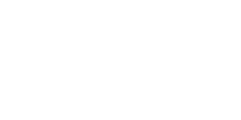Bondi Family Foundation Logo